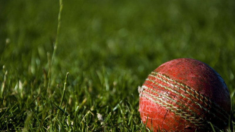 世界杯小组赛C组西班牙与葡萄牙比赛直播画面 - 球员庆祝进球